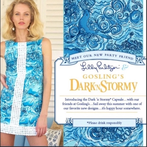 Lilly Pulitzer Dark N Stormy Originals Shift Dress Holy Grail size 4 - Picture 1 of 14